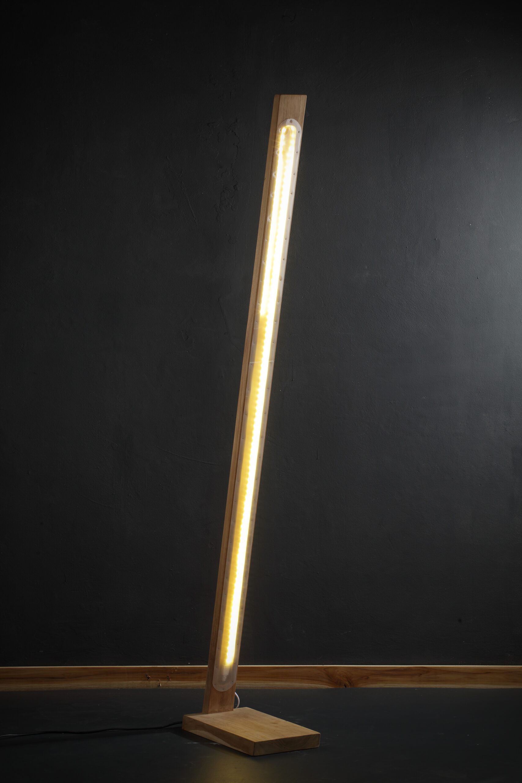 Floor Lamp_016 40X20X170CM